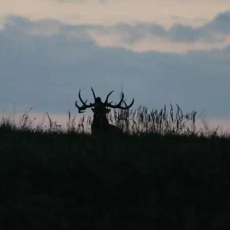 Domek Triftberg Chojna Exteriér fotografie